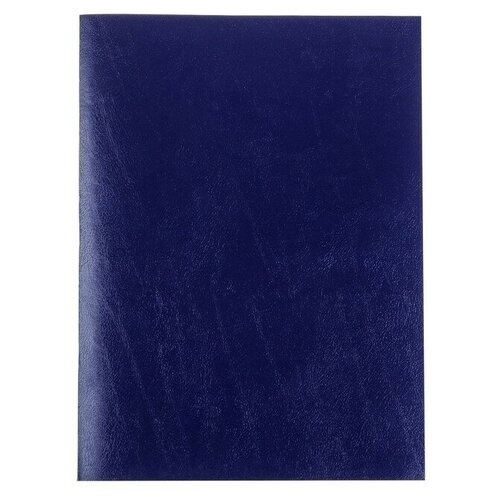 Тетрадь А4, 96 листов в клетку Синяя, бумвинил, блок офсет