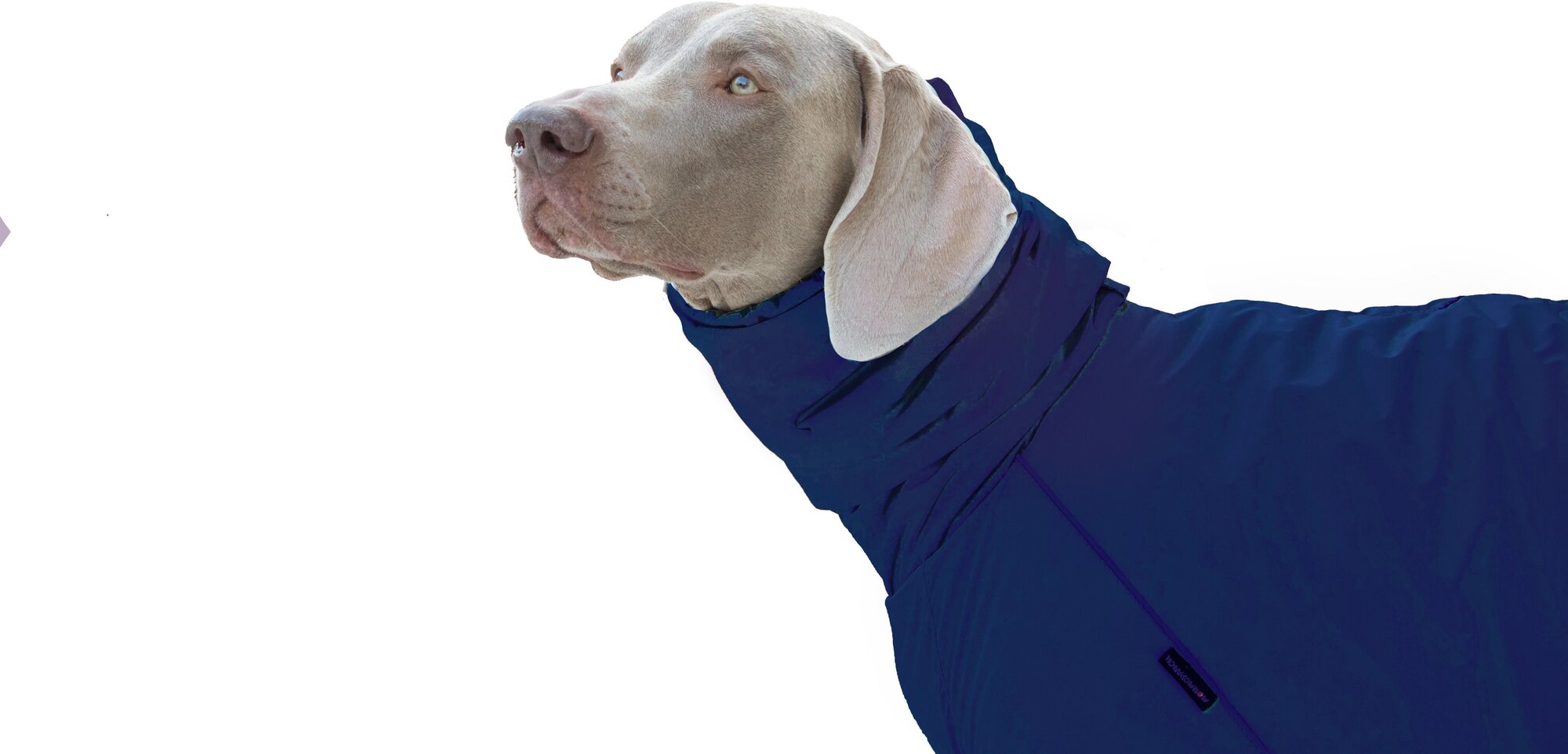 Утепленный комбинезон для собак средних и крупных пород, темно-синий, М1