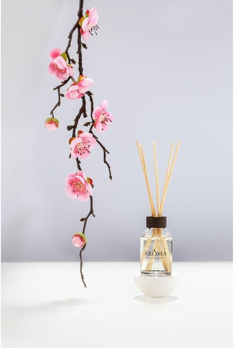 Аромадиффузор AromaHarmony Таиланд 50мл - фото №6