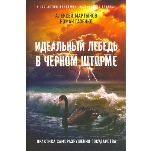 Мартынов Алексей Анатольевич, Газенко Роман Владимирович "Идеальный лебедь в черном шторме. Практика саморазрушения государства"