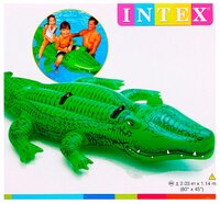 Надувная игрушка-наездник Intex Крокодил 58562 зеленый