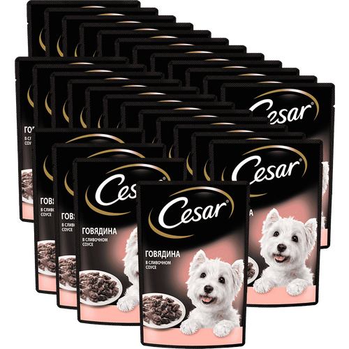 Корм для собак CESAR Говядина в сливочном соусе пауч 85г (упаковка - 28 шт)