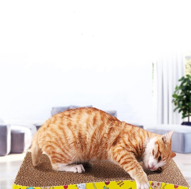 Картонная когтеточка для кошек - фотография № 1