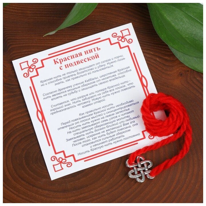 Queen fair Браслет-оберег «Красная нить» на мудрость, бесконечный узел, цвет серебро, 20 см