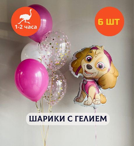 Изображение товара Шарики воздушные на день рождения, воздушные шары с гелием, шары с днем рождения, набор шаров для девочки "Щенячий патруль Симпатяга Скай", Купить Шары, 6 шт.