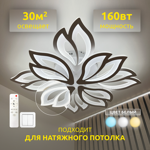 Люстра потолочная светодиодная с пультом Flower B 160Вт LEDCITY белый