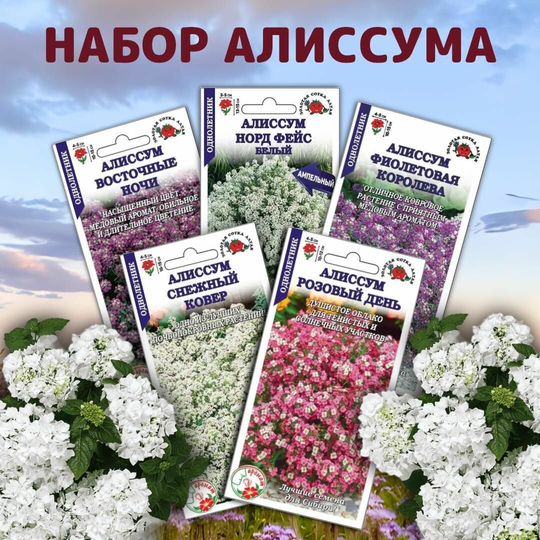Набор семян Алиссума