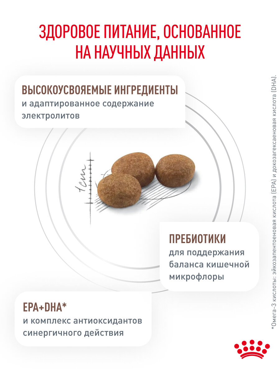 Терапевтические Системы Контрацепции Сухой корм для собак Royal Canin Gastrointestinal Low Fat диетический при нарушениях пищеварения, 1,5 кг