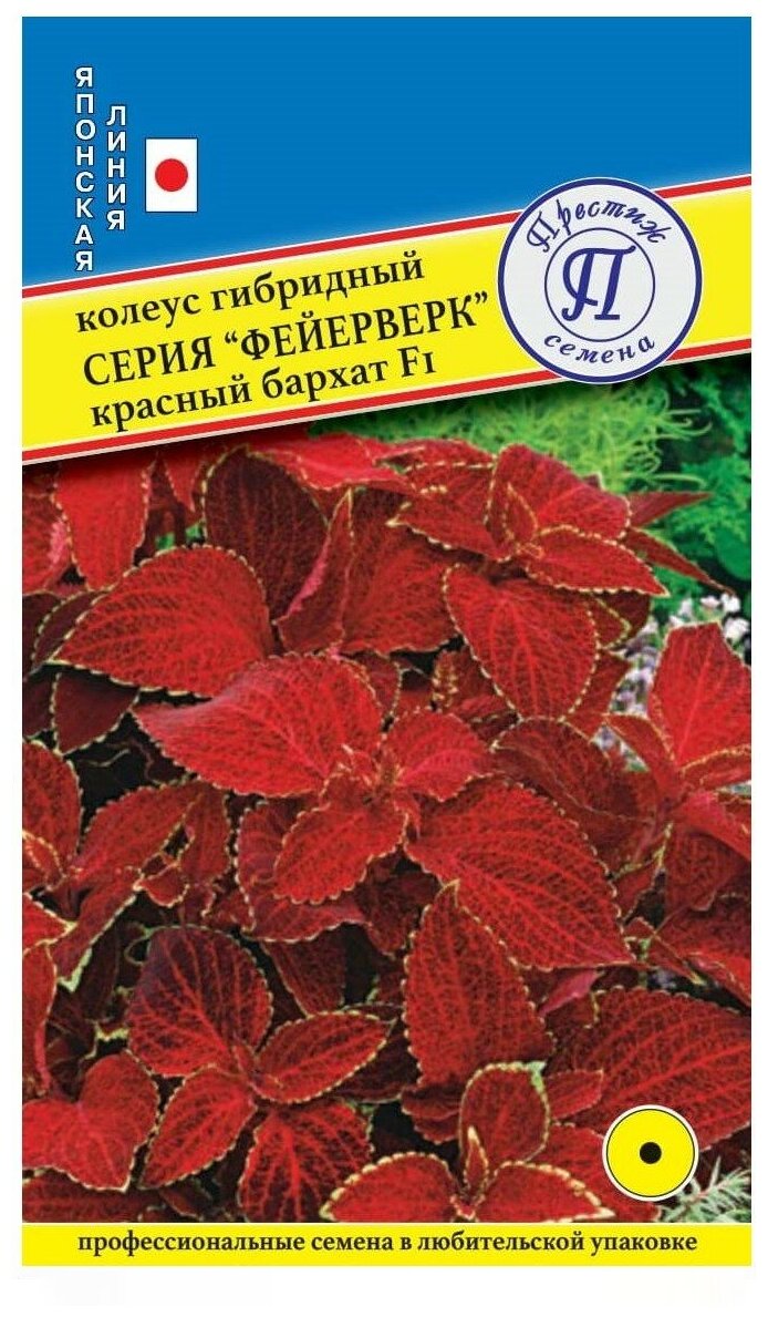 фото Семена/Престиж семена/Семена цветов колеус фейерверк красный бархат F1/колеуса/Профессиональные