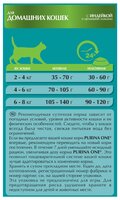 Корм для кошек Purina ONE (0.2 кг) Для домашних кошек с Индейкой и цельными злаками 0.2 кг