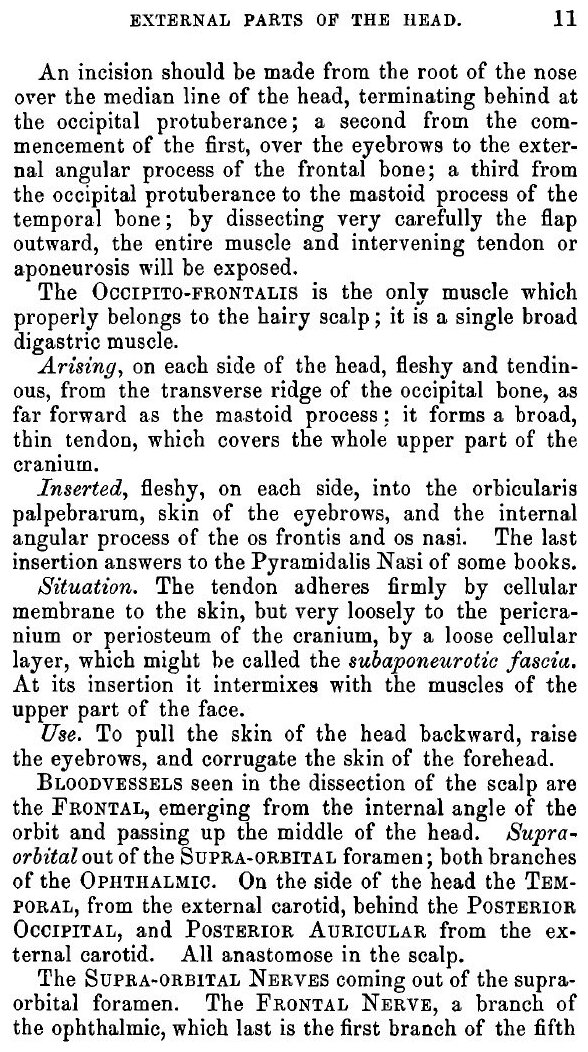 Practical Anatomy (Eckley William Thomas) - фото №7