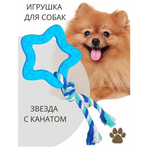 Игрушки для собак мелких пород и щенков