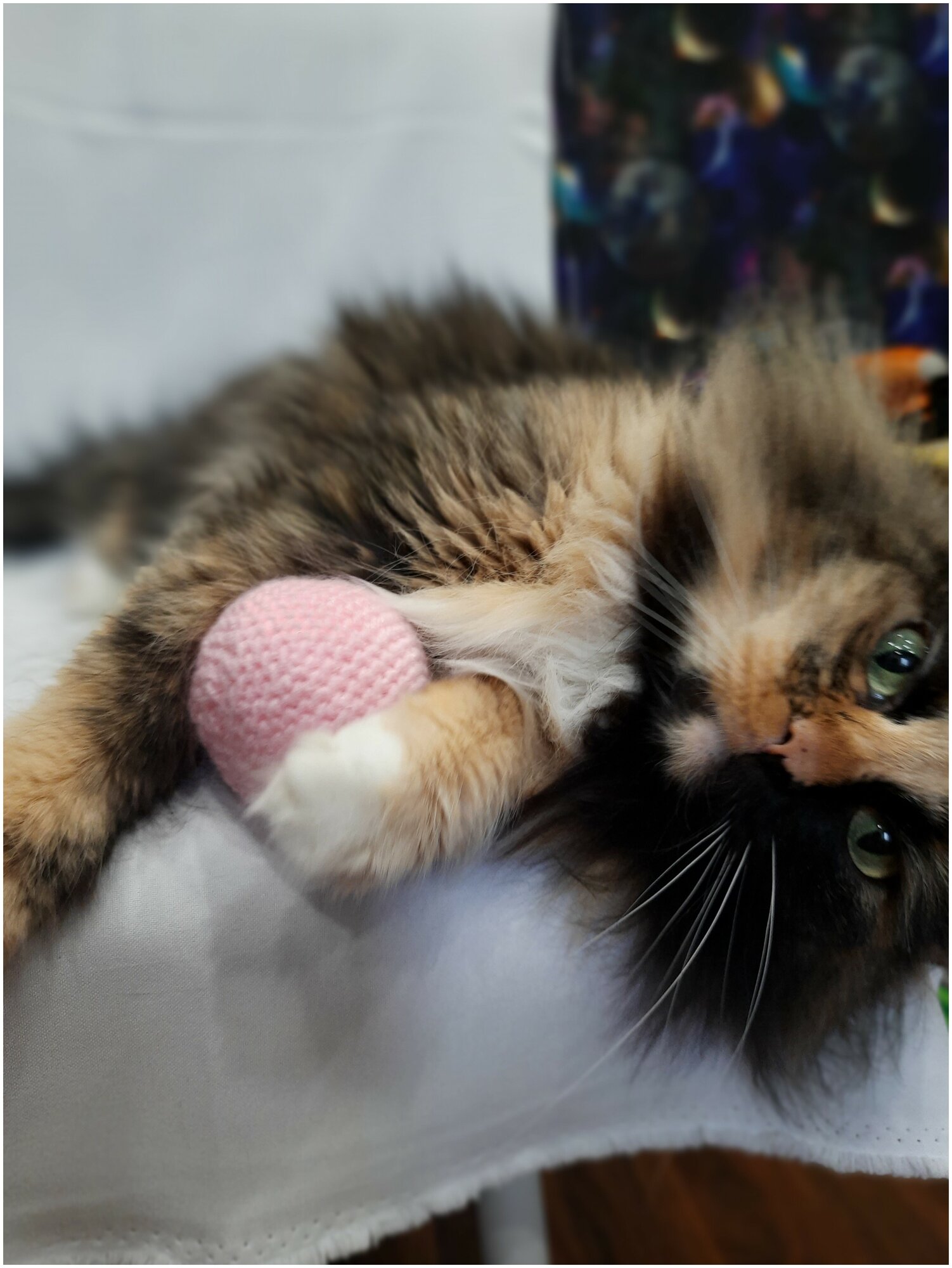 Мячик для кошек и собак с кошачьей мятой светло-розовый - фотография № 2