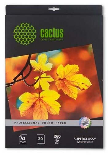 Фотобумага Cactus Prof A3 CS-HGA326020 260г/м2 20л, белый