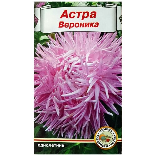 Семена Цветов Астра Вероника однолетник 0,3 г семена цветов астра вероника однолетник 0 3 г