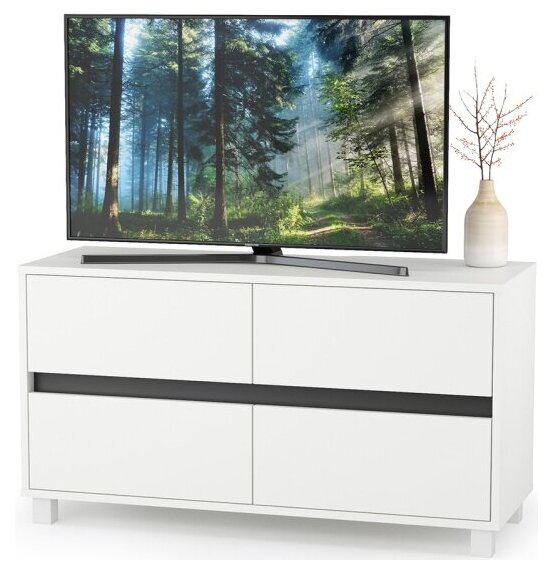 фото Тумба под ТВ Квадро 13.277, цвет белый шагрень/чёрный, ШхГхВ 100х36,8х54 см.