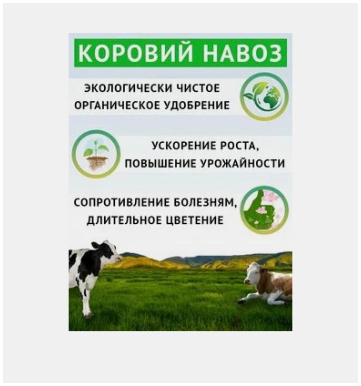ЖКУ Коровий навоз 5л Дюнамис - фотография № 5
