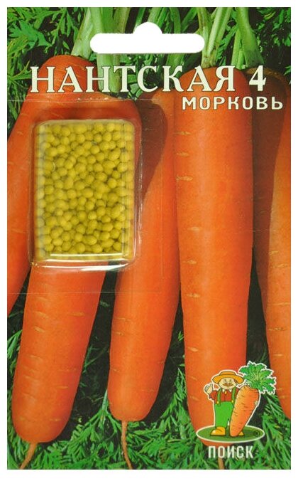дражированные семена моркови