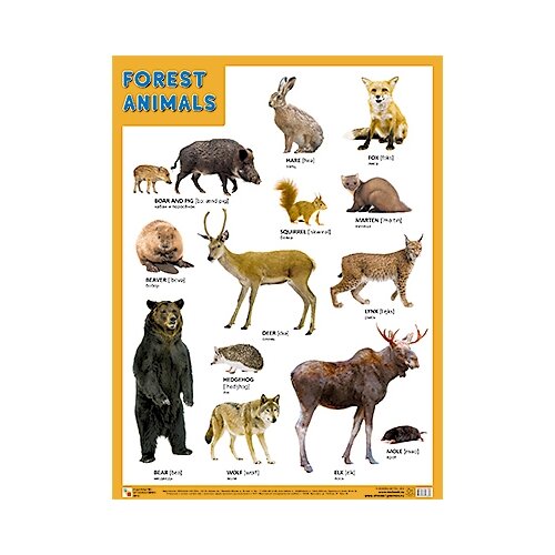 Плакат Мозаика-Синтез FOREST ANIMALS (Лесные обитатели) ящик с деликатесами 10 лесные обитатели