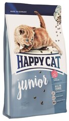 Корма для кошек Brit или Корма для кошек Happy Cat — какие лучше