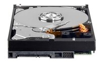 Жесткий диск Western Digital WD AV-GP 320 GB (WD3200AVVS)