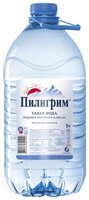 Минеральная питьевая вода Пилигрим негазированная, ПЭТ, 6 шт. по 1.5 л