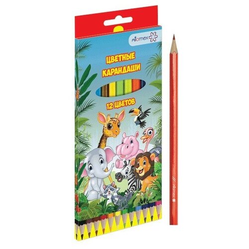 карандаши набор 12 цветов сибирский кедр ежик длина 175 мм шестигранные в картонной коробке Карандаши цветные Attomex Карандаши цветные 12 цветов Zoo М