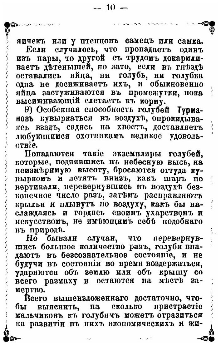 Книга "Голубиный охотник" - фото №10