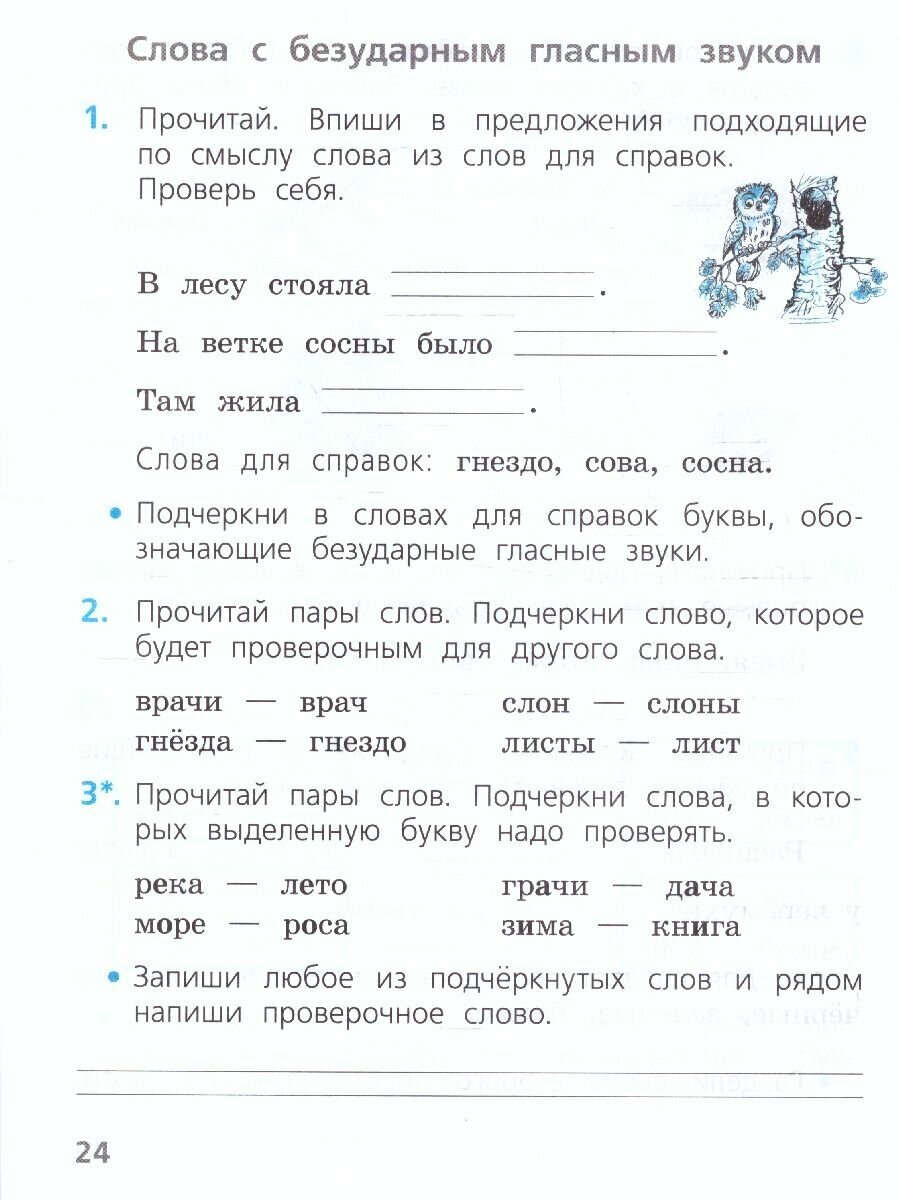 Русский язык. Проверочные работы. 1 класс