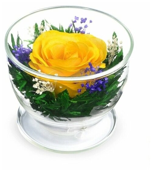 Композиция с натуральной желтой розой (6х8,5 см) в подарочной упаковке / Стабилизированные цветы в стекле