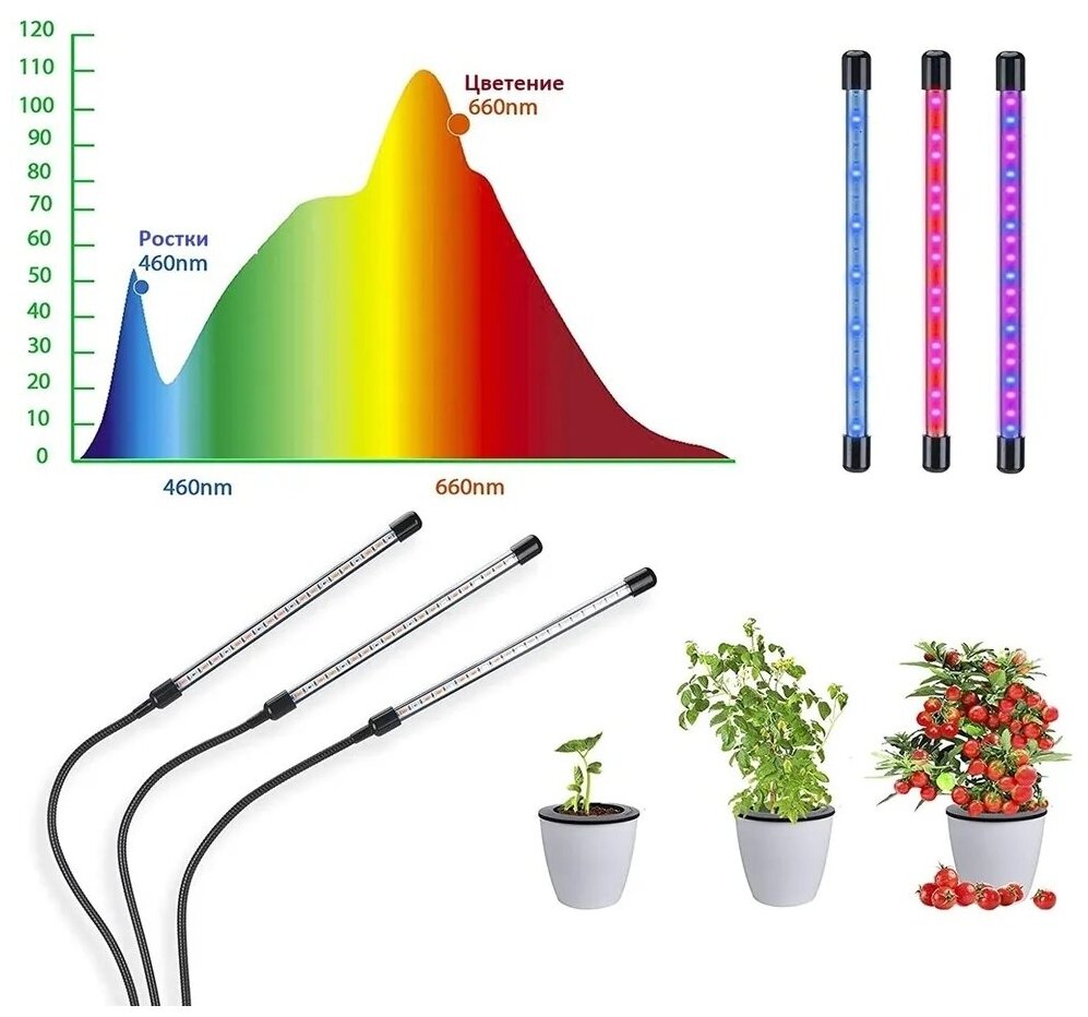 Фитолампа для растений и рассады. Лампа для растений светодиодная с адаптером и таймером отключения полный спектр 3х10 (30 Вт) на прищепке ABBA. - фотография № 4
