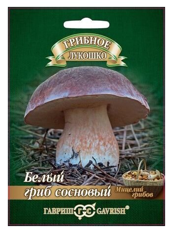 Семена Гавриш Грибное лукошко Белый гриб Сосновый на зерновом субстрате 15 мл