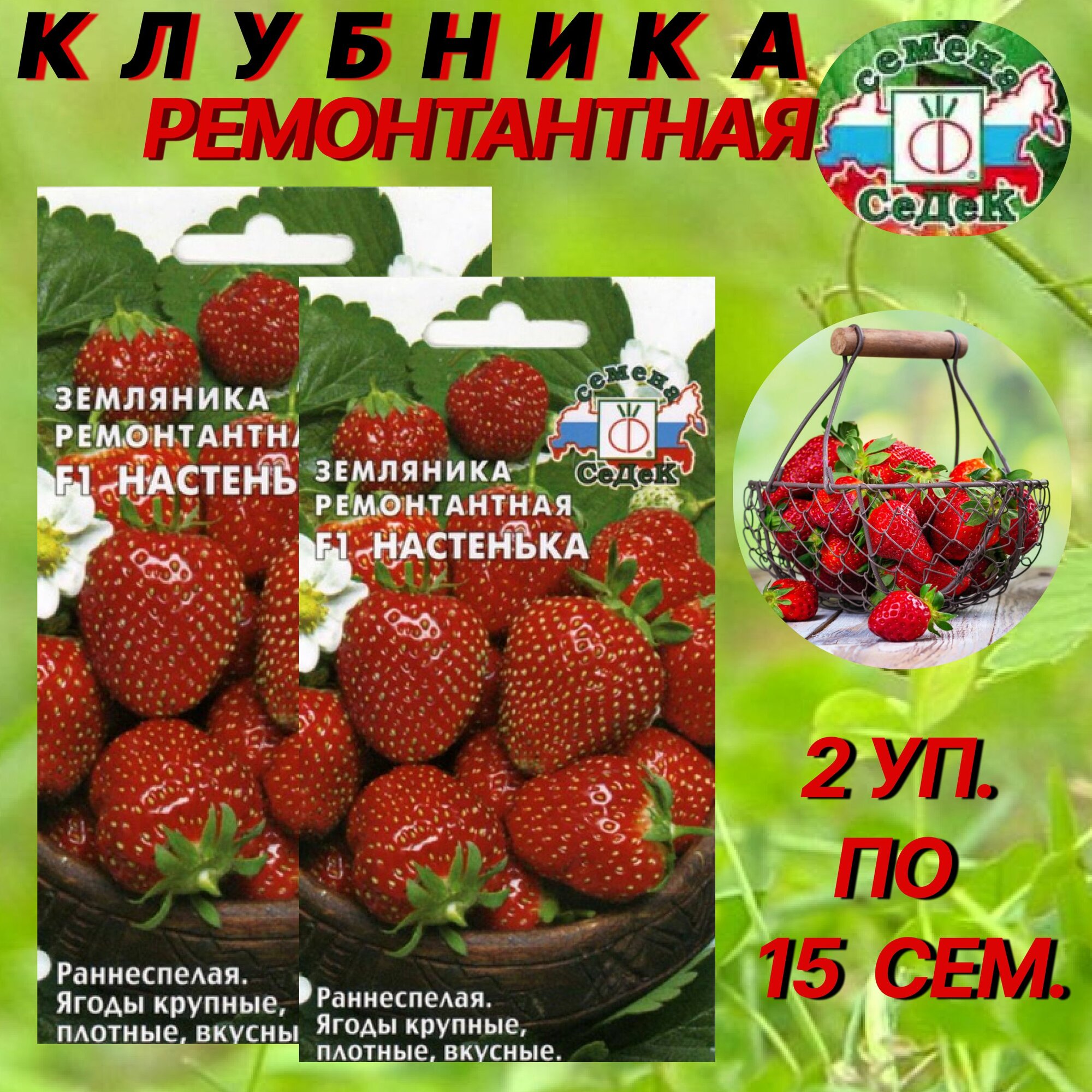 Семена клубники Настенька F1 (2 упаковки)