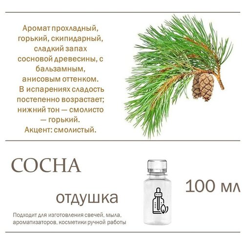 Сосна, отдушка для свечей и мыла - 100 мл