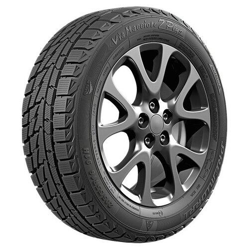 Авто шина PREMIORRI ViaMaggiore Z Plus 225/55R16 99H