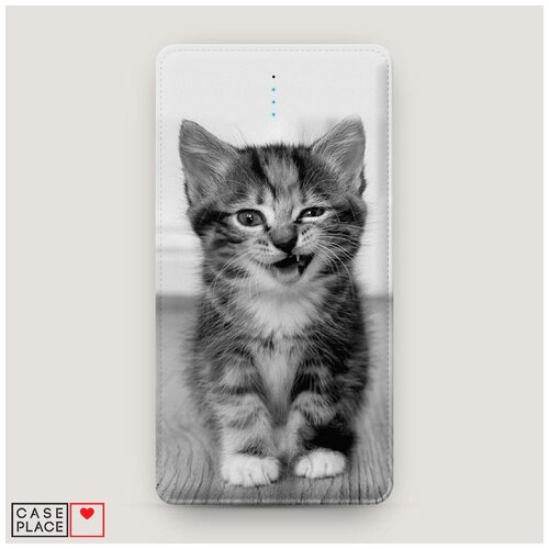 Power bank 5000 mАh Подмигивающий котенок 159000₽