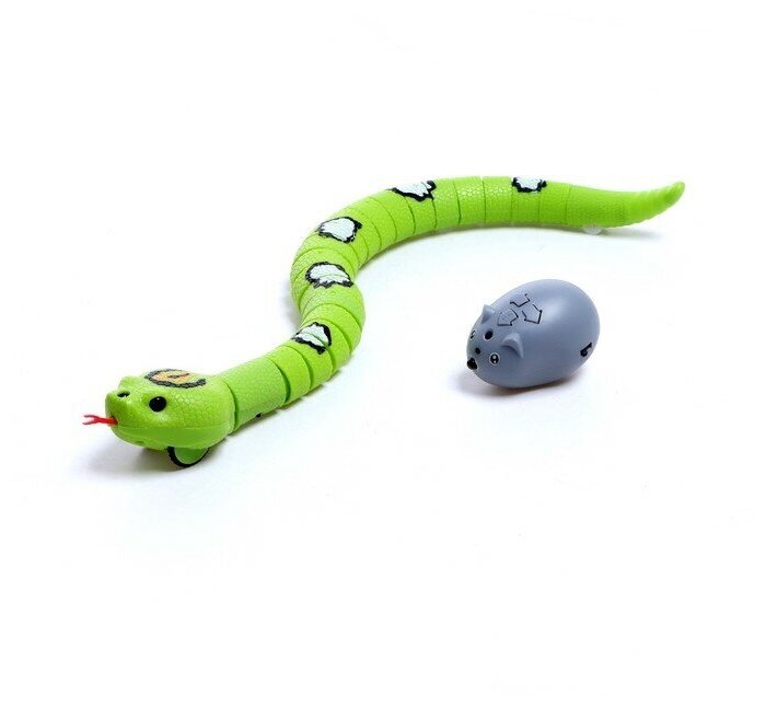 Змея радиоуправляемая «Джунгли», работает от аккумулятора, цвет зеленый
