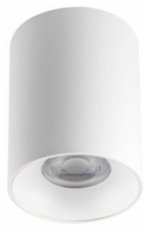 Потолочный точечный светильник RITI GU10 W/W - фотография № 1