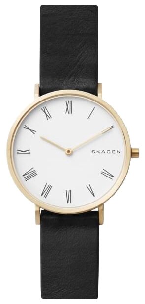 Часы наручные SKAGEN SKW2678