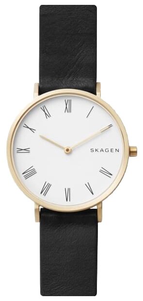 Наручные часы SKAGEN Hald