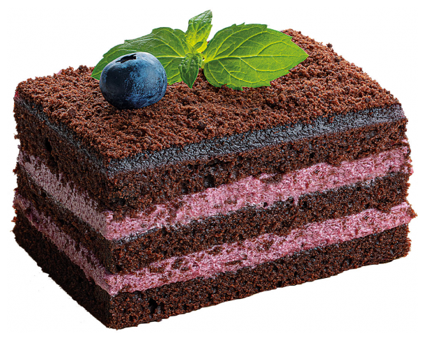 Торт бисквитный "Шоколадно-черничный" 0,34 - фотография № 5