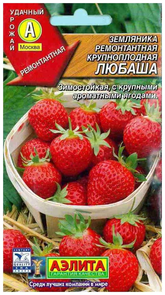 Семена Агрофирма АЭЛИТА Земляника ремонтантная крупноплодная Любаша 10 шт.