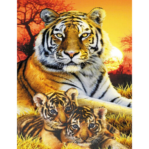 Алмазная мозаика на подрамнике 40x50 Тигры