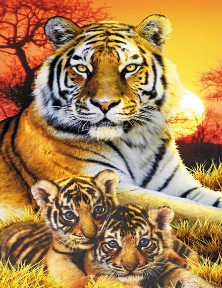 Алмазная мозаика на подрамнике 40x50 "Тигры"