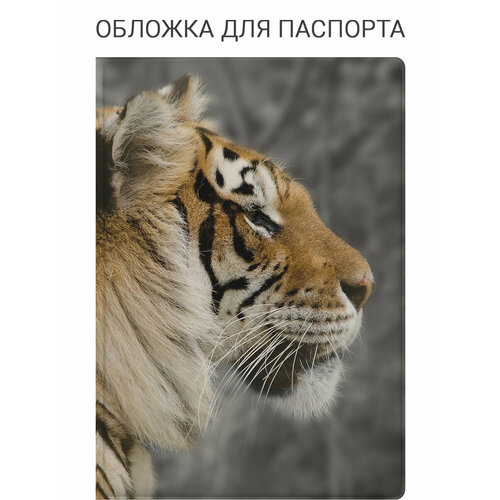 фото Обложка для паспорта elole design, белый, бежевый