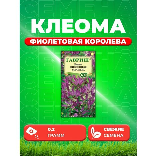 Клеома Фиолетовая королева, 0,2г, Гавриш семена клеома фиолетовая королева 0 3 г