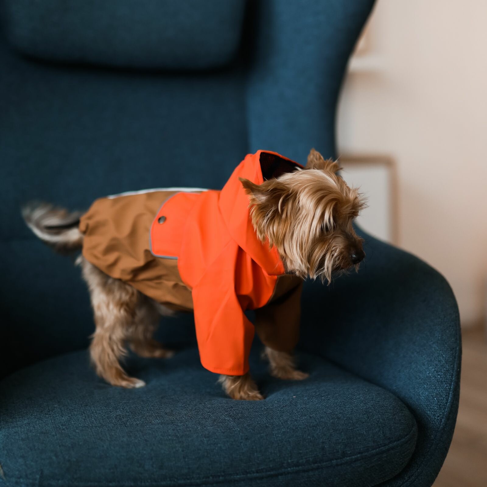 Дождевик/куртка, одежда для собак, "Не Один Дома" Самоцвет, разноцветный, M, длина спинки - 35 см
