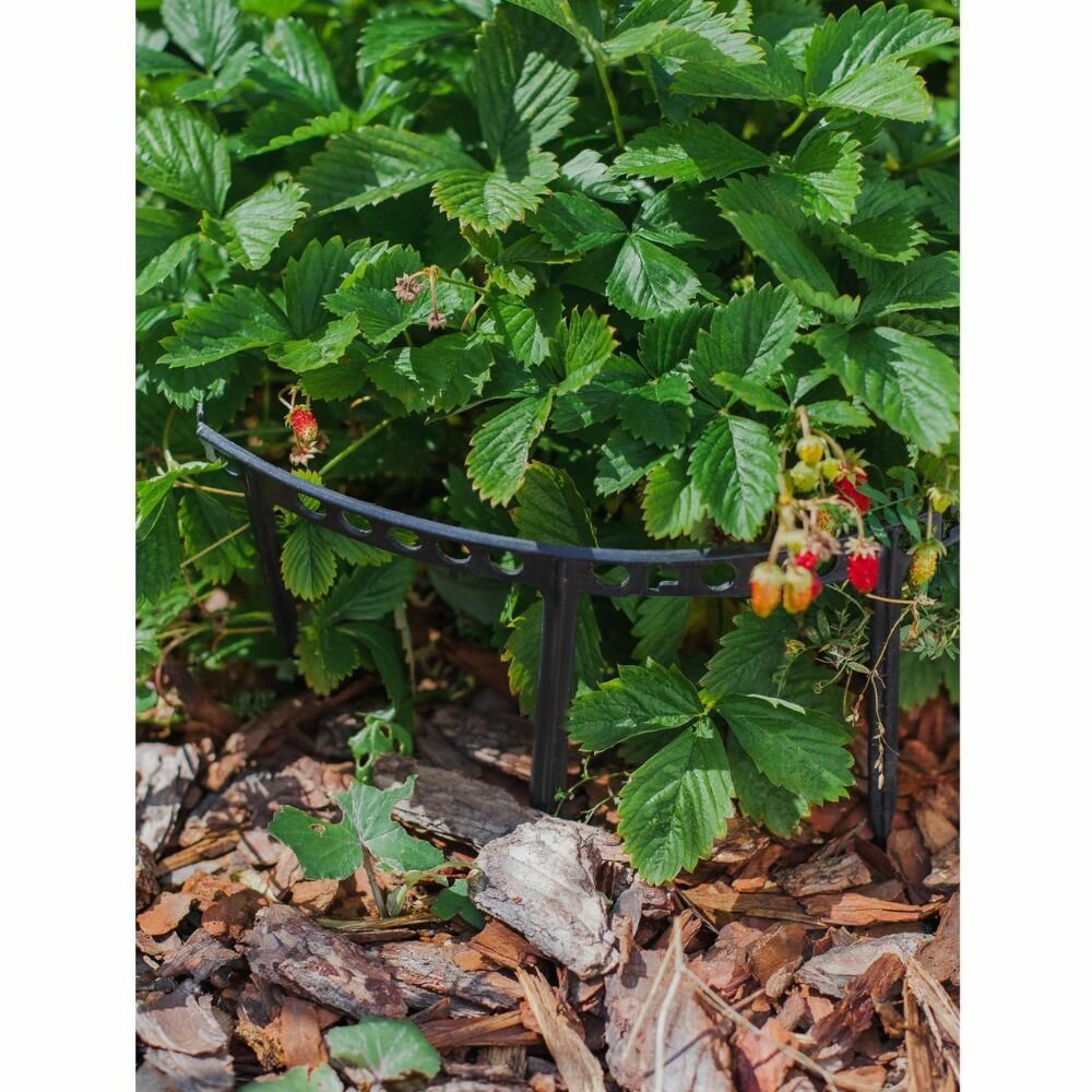 Держатели садовые для клубники и цветов, розы/ кустодержатель 10 шт. — фото 1