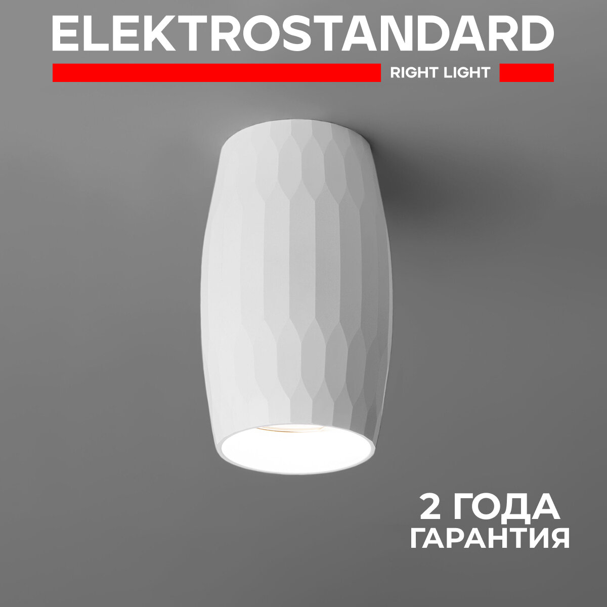 Спот / Накладной потолочный светильник Elektrostandard DLN104, GU10, цвет белый