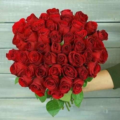 Изображение товара Букет живых цветов из 51 красная роза, высота 38см от Букет Маркет